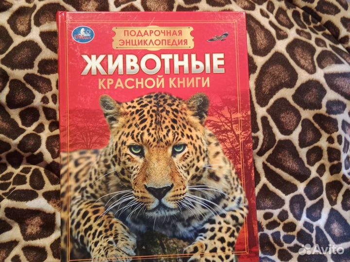 Детские книги, энциклопедия
