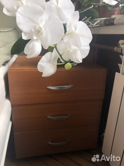 Тумбочка 43 см длина, 44,5 см ширина, 52 см высота