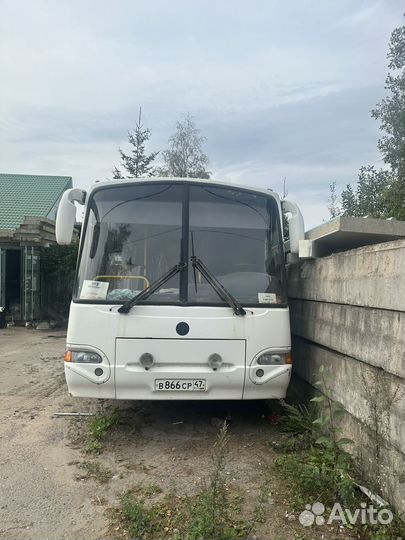 Междугородний / Пригородный автобус КАвЗ 4238-61, 2011