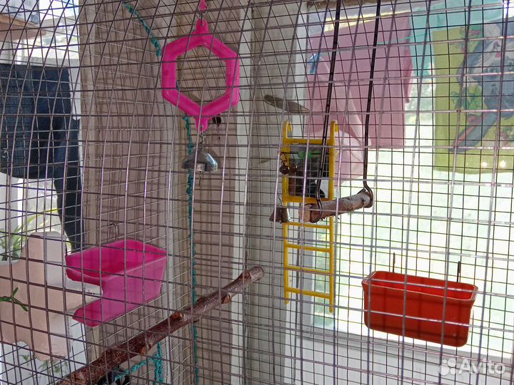 Клетка с попугайчиками.Продается