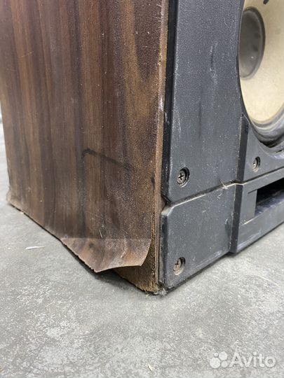 Колонки радиотехника s50