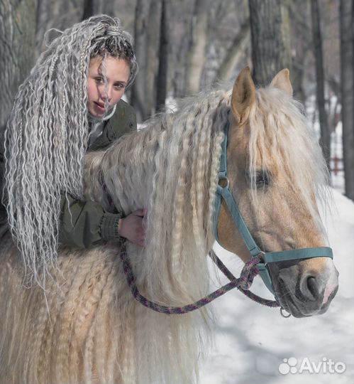 Занятия верховой ездой.Прокат лошадей и пони