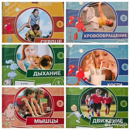 Деагостини тело человека