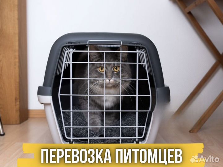 Междугородние перевозки