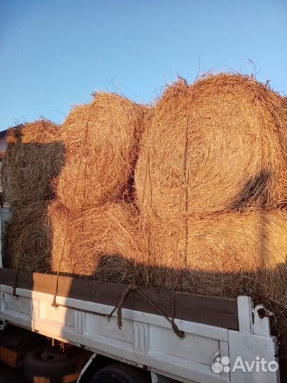 Сено в рулонах