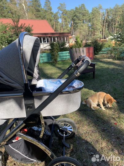Коляска 2 в 1 luxmom