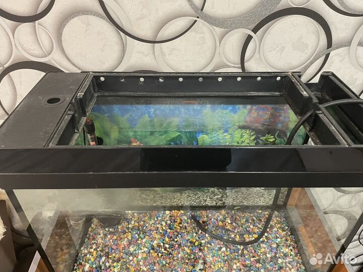 Аквариум