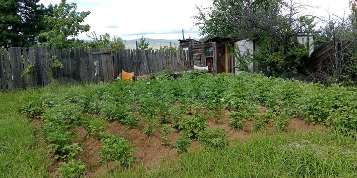 Участок 6 сот. (СНТ, ДНП)