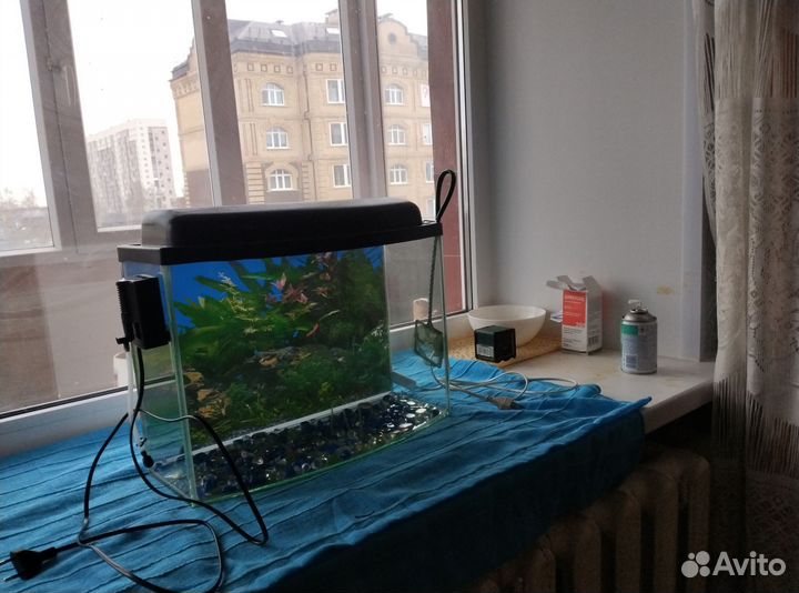 Аквариум