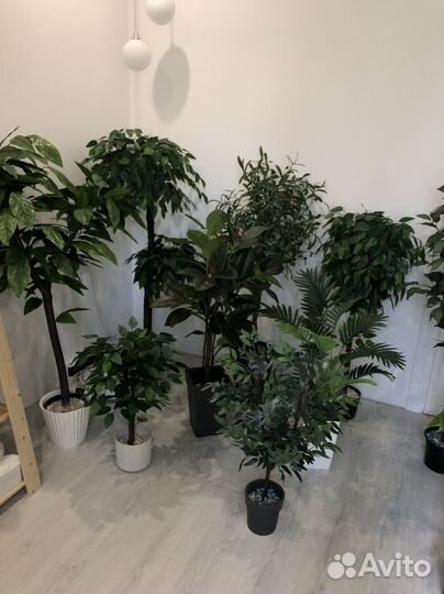 Искусственные растения для декора