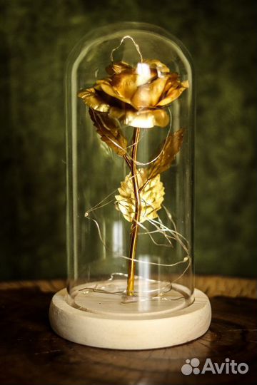 Цветок в колбе с подсветкой