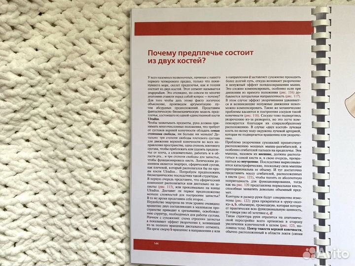 Функциональная анатомия Физиология суставов (3шт)