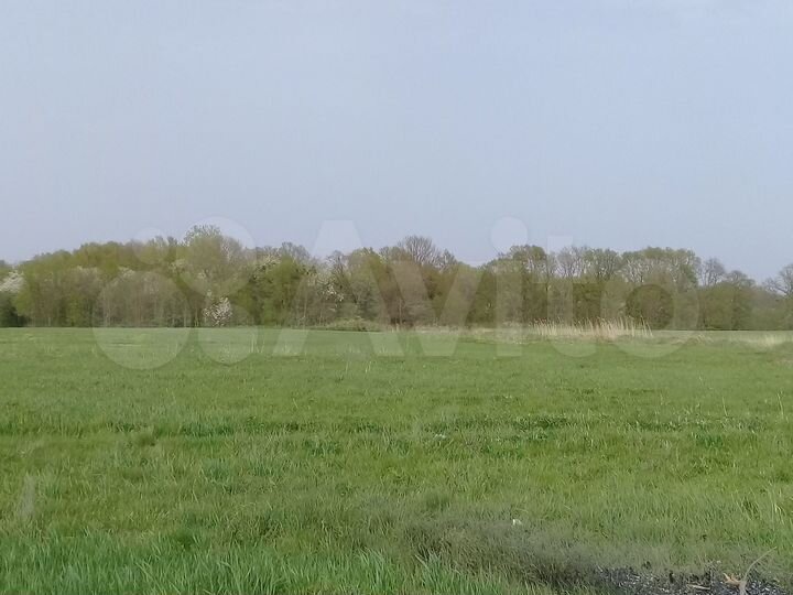 Участок 9 га (СНТ, ДНП)