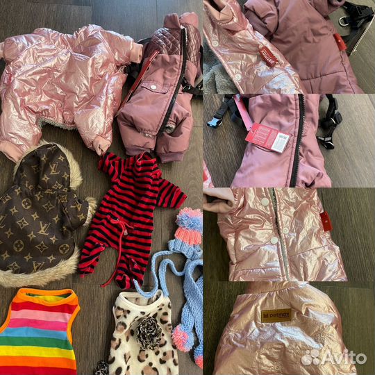 Одежда для мелких собак