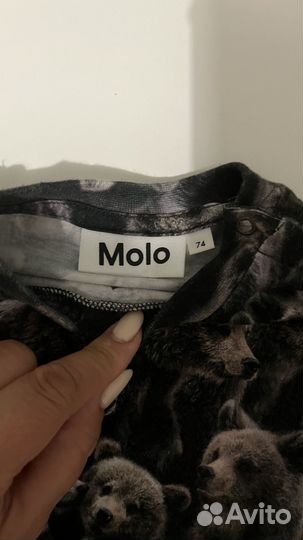 Molo 74-80