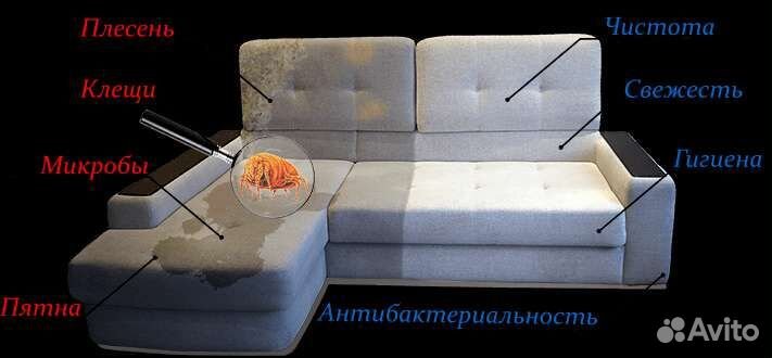 Аренда прокат моющего пылесоса Karcher puzzi 8/1