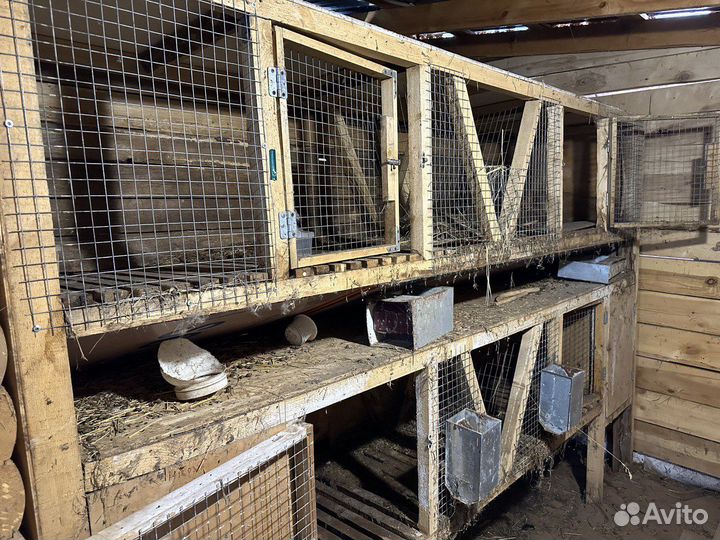 Клетки для кроликов
