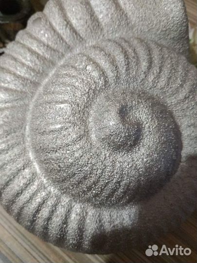 Кашпо-Ракушка