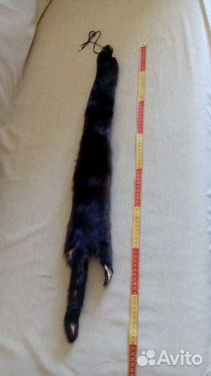 Шкурка норки