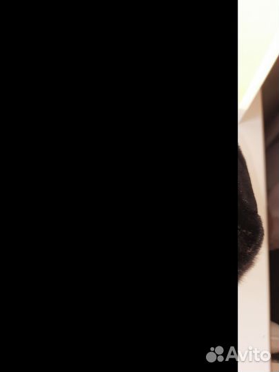 Шапка норковая женская бу