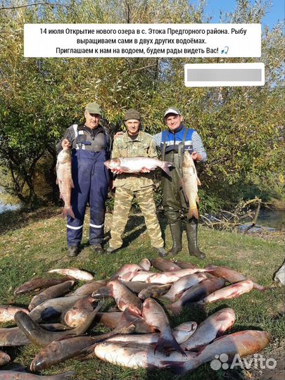 Рыбалка озеро