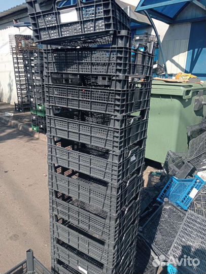 Пластиковые ящики для овощей и ягод бу