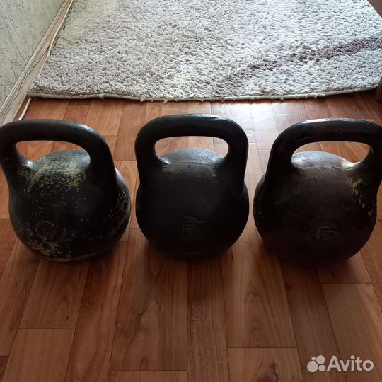 Гиря 24 кг 2 шт,16 кг 1 шт