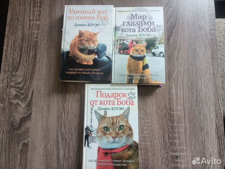 Уличный кот по имени Боб