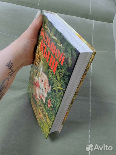 Книга/сказка Большой Кыш Милы Блиновой