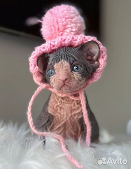 Exclusive quality baby boy