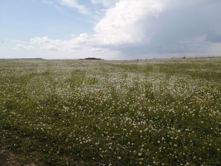 Участок 4,9 га (СНТ, ДНП)