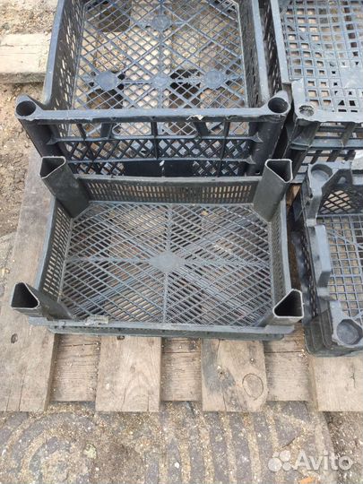 Ящики для хранения фруктов и ягод