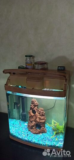 Аквариум