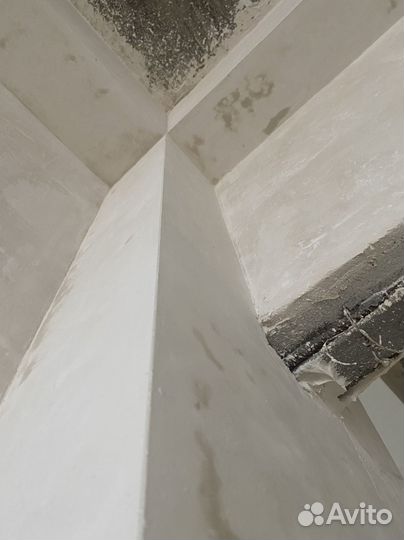 Штукатурка