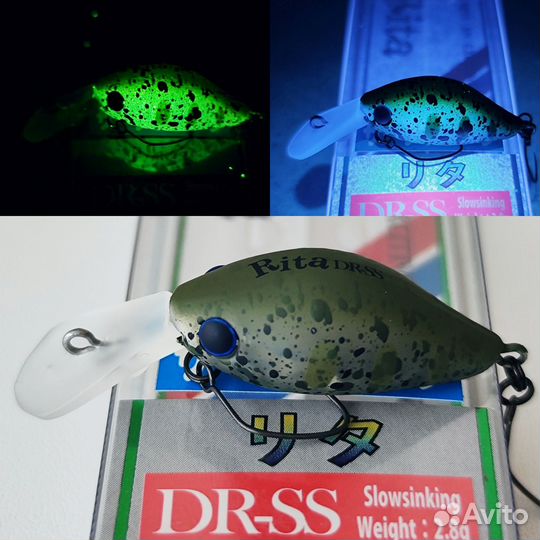 DaySprout Rita DR SS