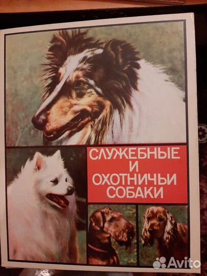 Спички