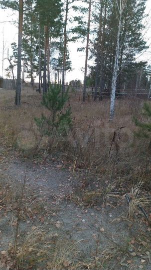 Участок 12 сот. (ИЖС)