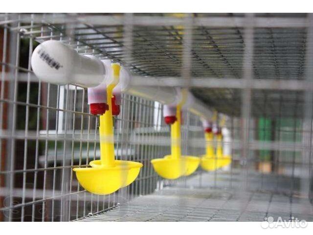 Заглушка для трубы систем ниппельного поения 25 мм