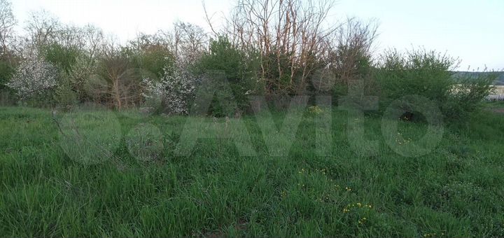 Участок 20 сот. (ИЖС)