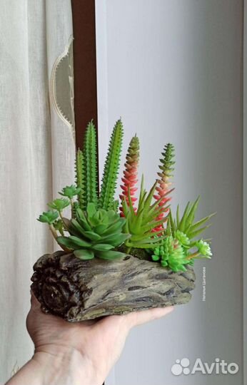 Суккуленты искусственные в кашпо
