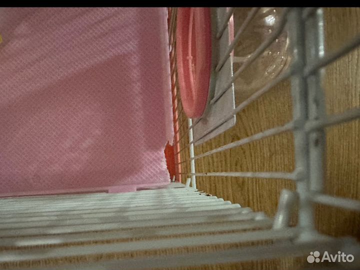 Клетка для джунгарского хомяка