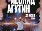 Билеты концерт Агутина 29 июля