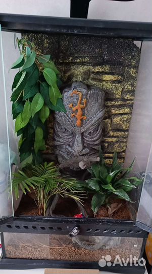 Террариум Exo-Terra