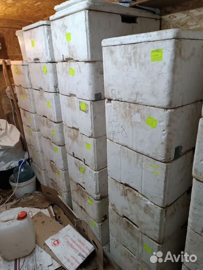 Продам вермиферму