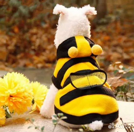 Одежда для собачки