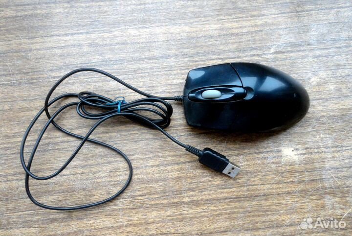 Мышь компьютерная