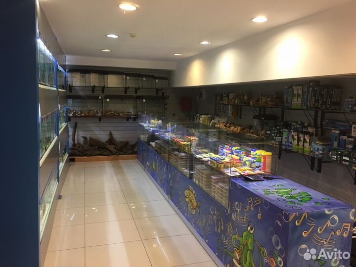 Аквариумные рыбки, все для аквариумистики