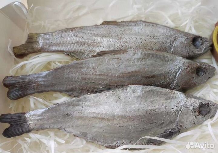 Шоколадные подарки(вобла)