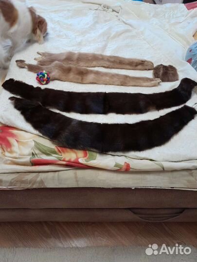 Меховой воротник норка