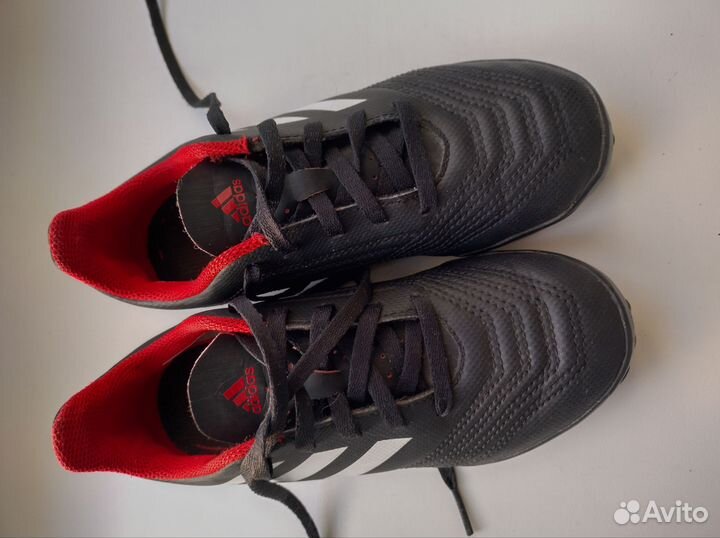 Футбольные бутсы шиповки Adidas Predator